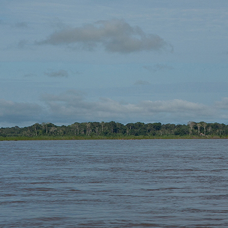 AMAZONAS 36 rio mosaico galeria_MG_3963.jpg